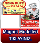 Magnet Modelleri