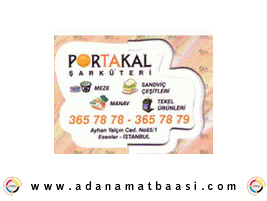 portakal magnet