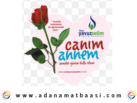 canım annem magnet